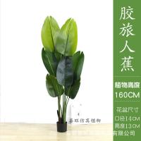 XU0612558